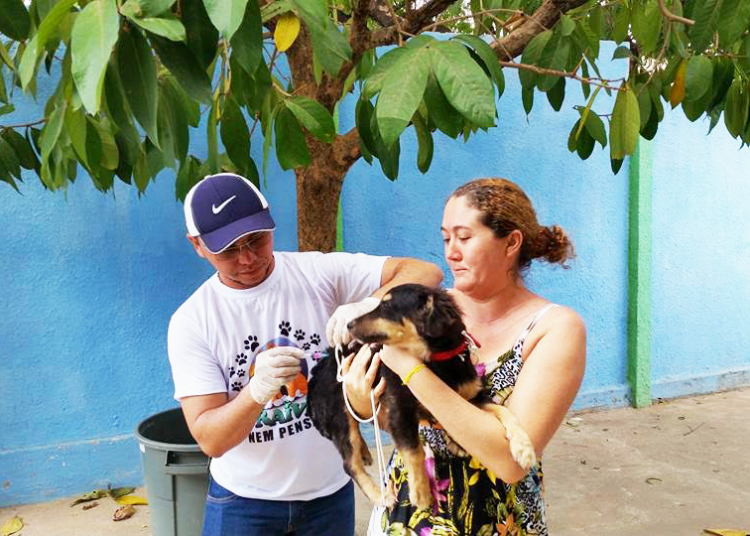 Campanha de Vacinação Antirrábica animal 2024 será realizada neste sábado, 09 de novembro