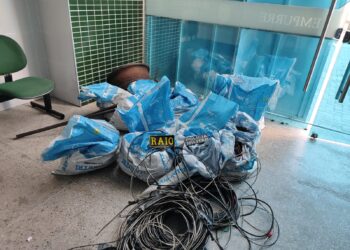 Registros de furto de cabos de energia no Ceará ultrapassam 2023; Quase 300 KM furtados em 2024