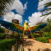 Arvorar, novo parque do Beach Park, abre excepcionalmente na próxima segunda-feira (30) e estende funcionamento a partir de janeiro