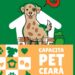 Abertas as inscrições para o Programa Capacita Pet Ceará, com treinamento gratuito em proteção animal