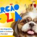 Bloco Mambembe, Pimenta Malagueta e Folia Pet animam o Pré-Carnaval deste fim de semana nos shoppings RioMar