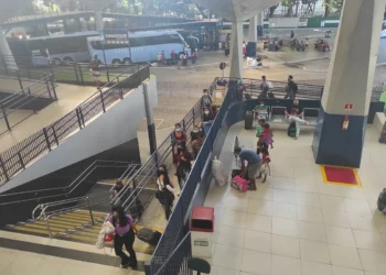 Empresas de ônibus ofertam 181 viagens extras para o Carnaval