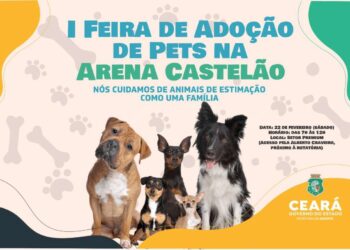 Arena Castelão realiza I Feira de Adoção de Animais, neste sábado (22)