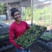 Ecoinec promove oficina de Agroecologia Urbana para incentivar o cultivo sustentável em pequenos espaços