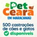 Parceria entre Prefeitura e Governo do Estado disponibiliza 500 castrações gratuitas de cães e gatos