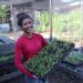 Ecoinec promove oficina de Agroecologia Urbana para incentivar o cultivo sustentável em pequenos espaços