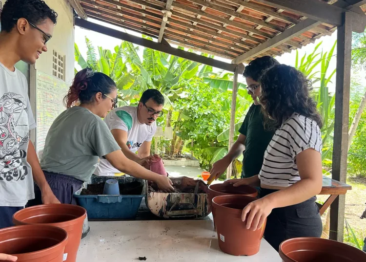Ecoinec é aprovado para o Projeto Salas Verdes do Ministério do Meio Ambiente