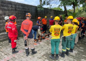 Defesa Civil de Maracanaú participa de curso de corte e poda de árvores