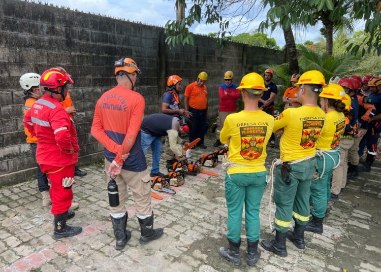 Defesa Civil de Maracanaú participa de curso de corte e poda de árvores