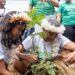 Semam realiza abertura da Festa Anual das Árvores 2025 com programação sustentável e cultural