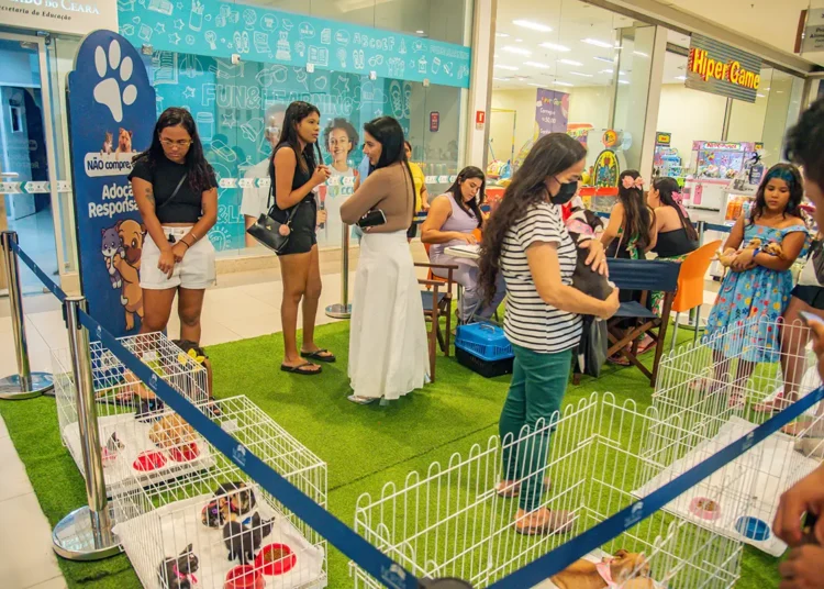 Prefeitura promove mais uma edição do “PetDay”, evento de adoção responsável de animais