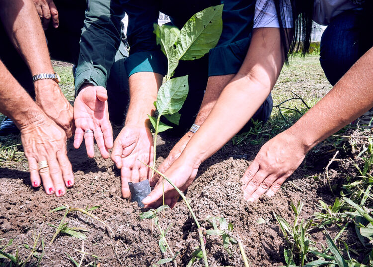 Sejuv promove evento em comemoração ao Dia do Meio Ambiente em Maracanaú