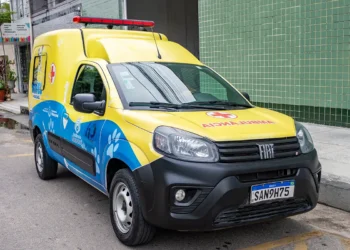 Secretaria do Bem-Estar Animal disponibiliza transporte para atendimento veterinário