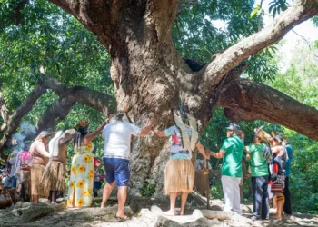 Dia do Indígena Pitaguary será celebrado com caminhada, ritual do Toré e homenagens em Maracanaú