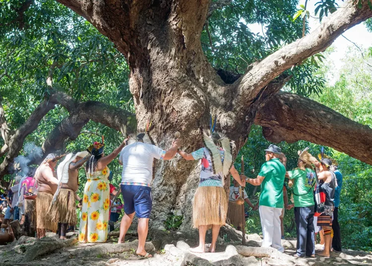 Dia do Indígena Pitaguary será celebrado com caminhada, ritual do Toré e homenagens em Maracanaú