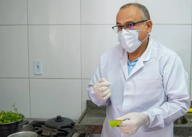 Prefeitura promove Oficina de Xarope com Ervas Medicinais nesta quinta-feira, 5 de junho