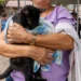 No momento, você está visualizando Prefeitura realiza mais uma edição do Mutirão de Castração para Cães e Gatos