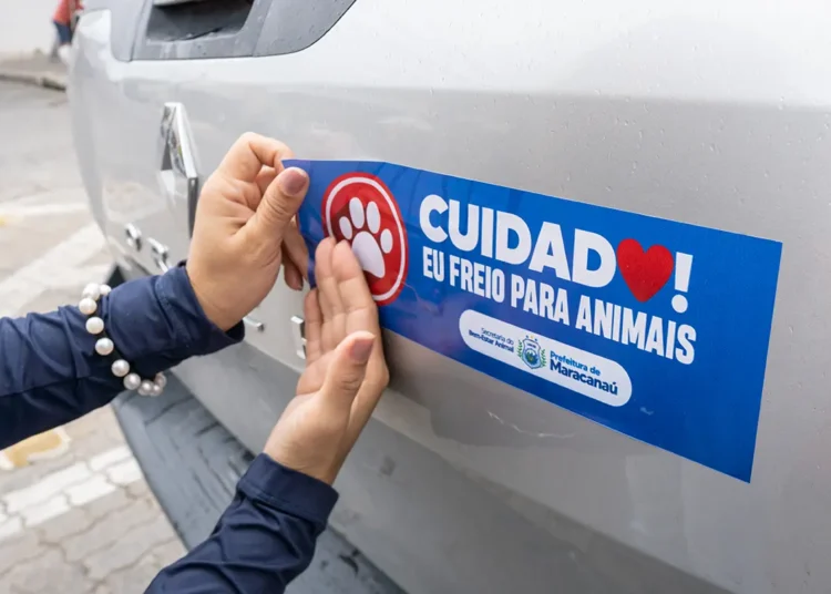 No momento, você está visualizando Blitz educativa: “Eu Freio para Animais” será realizada nesta quarta-feira, 20/08