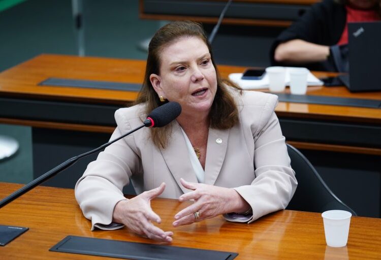 Comissão aprova projeto de Fernanda Pessoa que incentiva hortas escolares e coletivas
