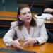 Comissão aprova projeto de Fernanda Pessoa que incentiva hortas escolares e coletivas