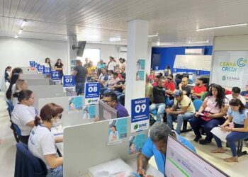 No momento, você está visualizando SINE Municipal de Maracanaú promove Dia D da Empregabilidade para Pessoas com Deficiência