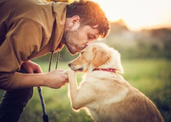 10 filmes de cachorro para maratonar e “chorar litros”