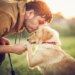 10 filmes de cachorro para maratonar e “chorar litros”