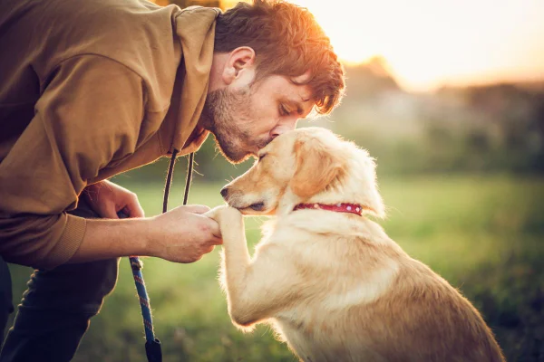 10 filmes de cachorro para maratonar e “chorar litros”