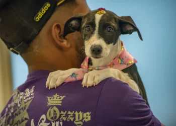 No momento, você está visualizando Prefeitura promove nova edição do PetDay com incentivo à adoção de cães e gatos