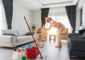 Casa limpa e pet feliz: como manter o ambiente seguro e sem odores
