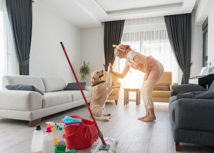 Casa limpa e pet feliz: como manter o ambiente seguro e sem odores