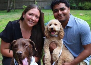 Casal recebe surpresa ao rever seus cachorros após o casamento
