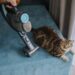 Confira 5 raças de gato ideais para quem quer menos pelos em casa