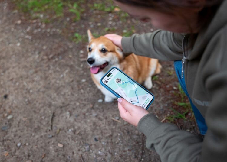 Estudo revela como a tecnologia afeta o vínculo entre humanos e cães