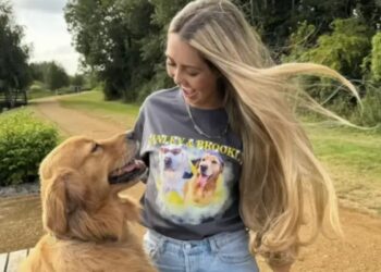 Golden é resgatado de caminhão e “renasce” com o amor de uma família