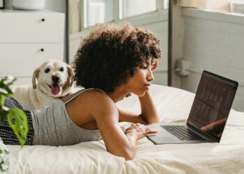 Home office com pets: saiba como equilibrar rotina, afeto e limites