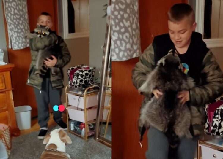 Mãe entra em pânico ao ver filho com animal selvagem em casa. Entenda