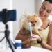 Pets influenciadores geram mais confiança que humanos, diz estudo