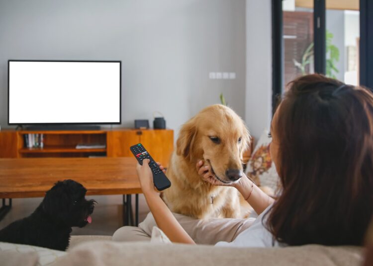 Por que os filmes de cachorro sempre fazem as pessoas chorarem?