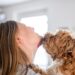 Por que você deveria evitar ser lambido no rosto por seu cachorro
