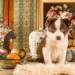 Luxo pet-friendly: imóveis de alto padrão em São Paulo tornam espaços para cães e gatos item obrigatório