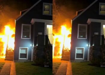 Cachorro de raça mini vira o grande herói da família durante incêndio