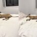 Cadela resgatada viraliza com rotina de sono de princesa