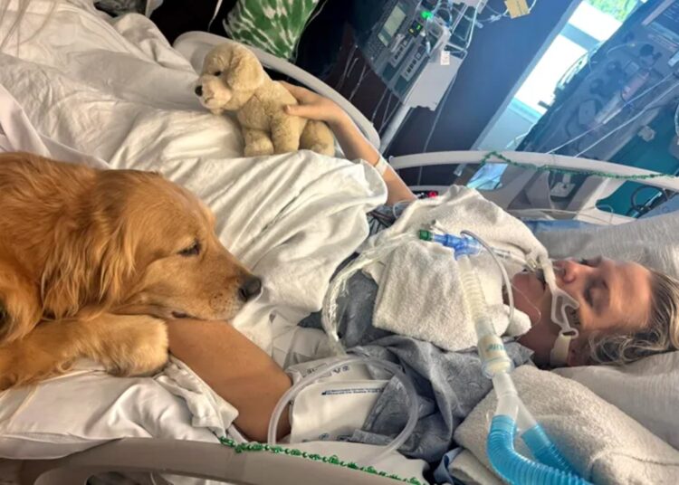 Cão visita tutora em coma induzido e causa mudança surpreendente
