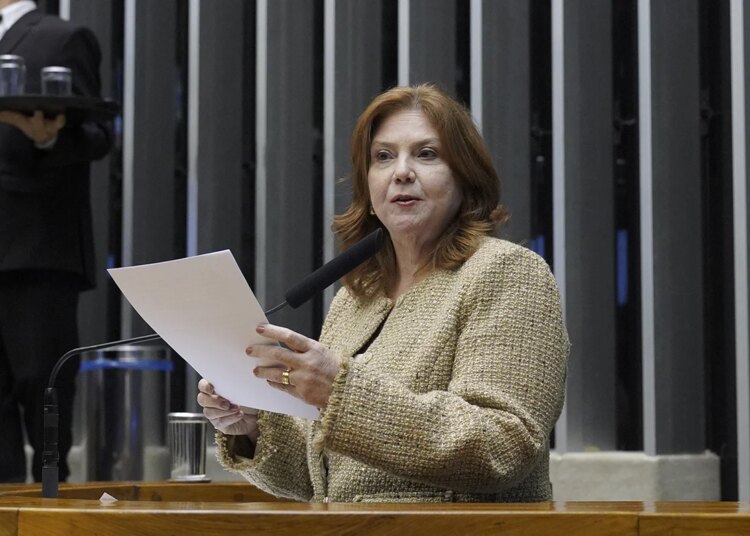 Deputada Fernanda Pessoa preside sessão solene pelos 190 anos da Assembleia Legislativa do Ceará