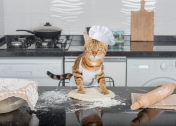 Gato “amassando pãozinho”: veterinária explica o que hábito significa