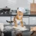 Gato “amassando pãozinho”: veterinária explica o que hábito significa