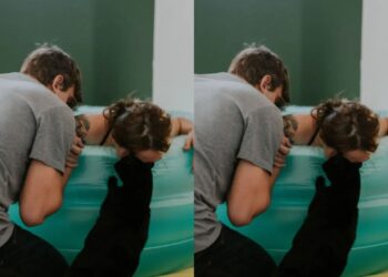 Gato conforta a tutora durante parto em casa e emociona a web