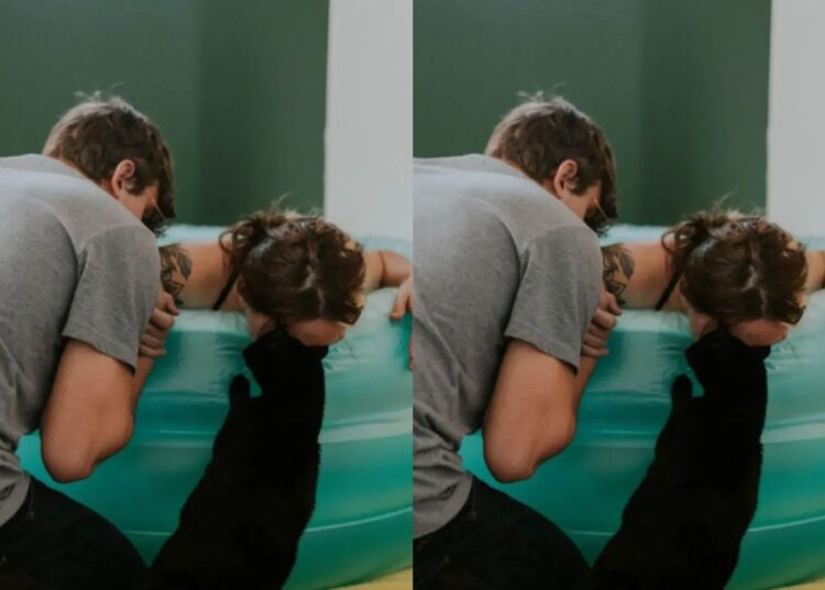 Gato conforta a tutora durante parto em casa e emociona a web