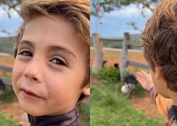Menino de coração puro adota cachorrinhos abandonados em estrada